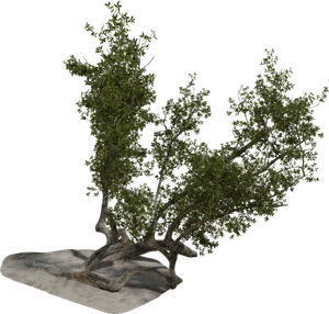 3D Models Starter Pack - Indoor Plants(5 Archviz Models)