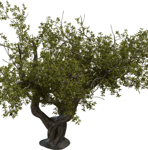 3D Models Pro Pack - Interior Vegetation Set(40 Archviz Models)