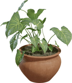 3D Models Basic Pack - Interior Plants(12 Archviz Models)