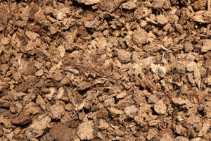 Areagen Minor Part 1 Patch