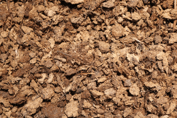 Areagen Minor Part 1 Patch