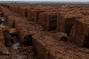 Areagen Minor Part 1