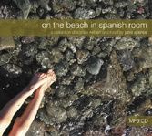 On the Beach in Spanish Room (Janis Spence)