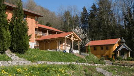 7 Day Embodied Awareness Retreat - Germany, August 2025 WEEK II - Full Video Recordings