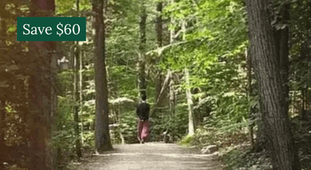 7 Day Embodied Awareness Retreat - Canada, June 2025  - Full Video Recordings