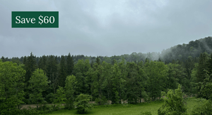 7 Day Embodied Awareness Retreat - Germany, August 2025 WEEK I - Full Video Recordings