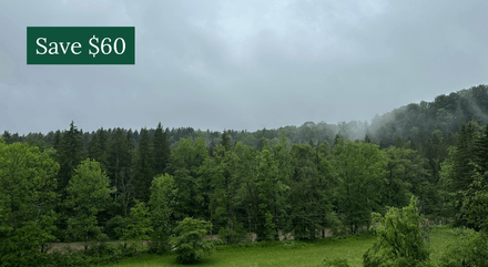 7 Day Embodied Awareness Retreat - Germany, August 2025 WEEK II - Full Video Recordings