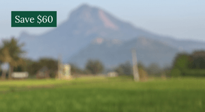 7 Day Embodied Awareness Retreat - India, February 2026  - Full Video Recordings