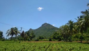 9 Day Embodied Awareness Retreat - India, February 2025  - Full Video Recordings