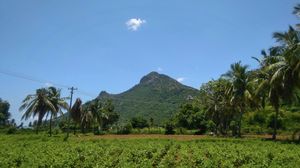7 Day Embodied Awareness Retreat - India, February 2026  - Full Video Recordings 