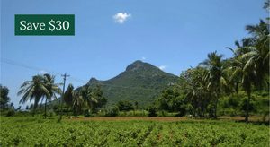 7 Day Retreat with Louise Kay - India, February 2026  - Full Video Recordings