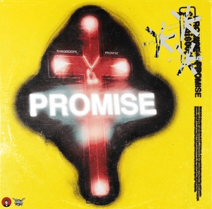 &quot;PROMISE&quot; Guitar Loop Kit (Wheezy, Lil Baby, Gunna, Polo G, Rod Wave)