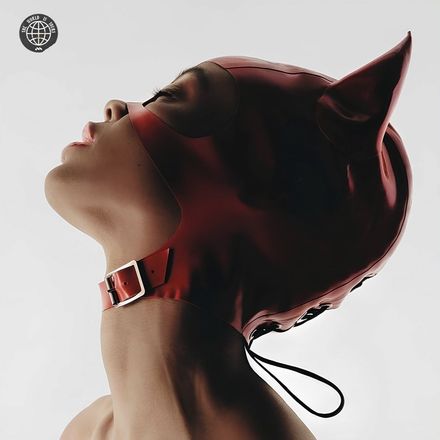 DAREDEVIL - Experimental Trap Loop Kit