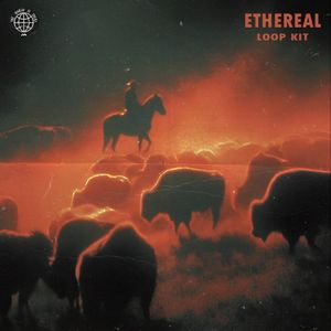 Trap Loop Kit - "ETHEREAL" (Future, Travis Scott, Metro Boomin)