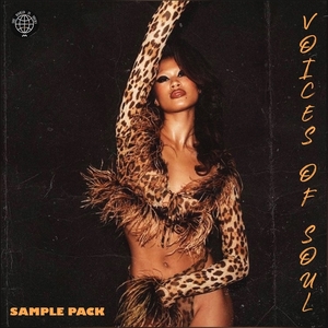 &quot;VOICES OF SOUL&quot; Vocal Samples Collection
