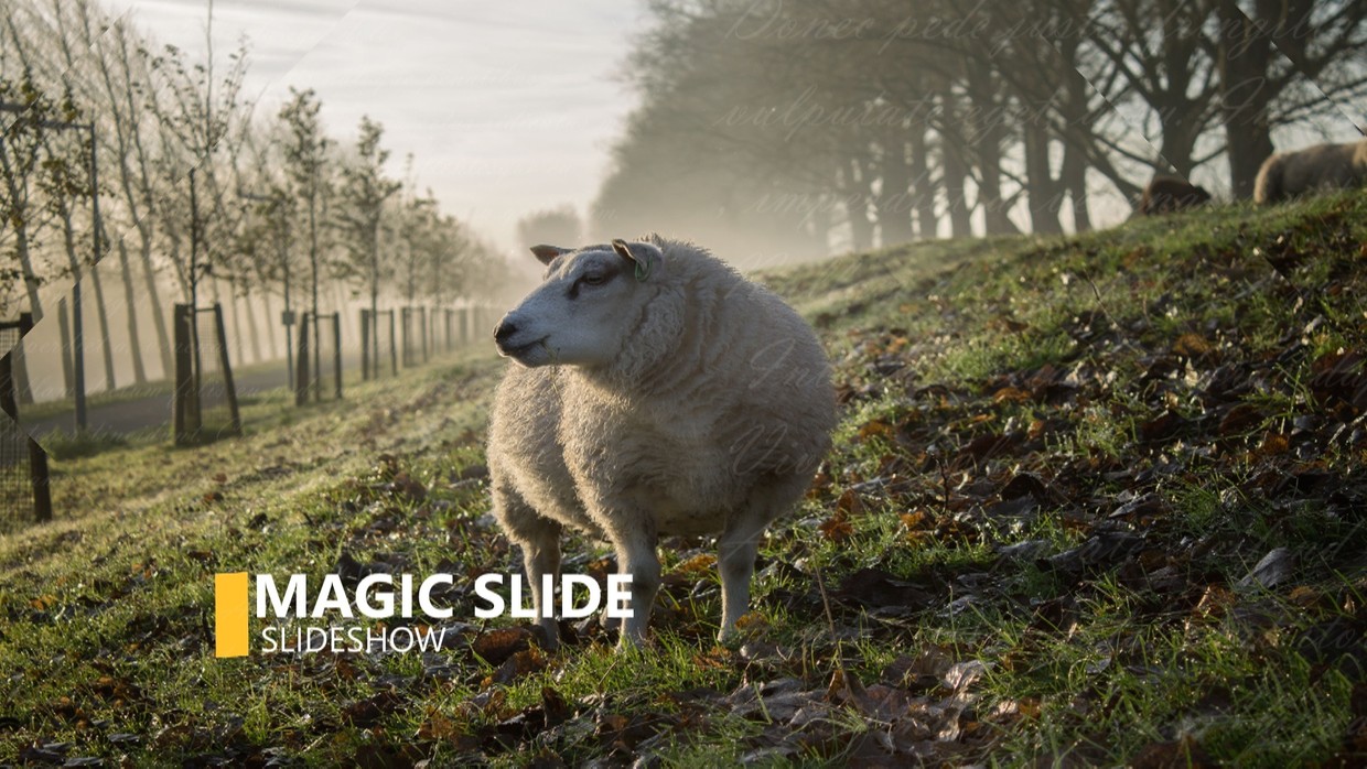 Template Magic Slideshow sony vegas 12 13 14 15 And Above