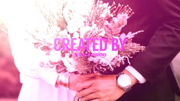 Wedding Slideshow Template Sony Vegas Pro 12 .. 20  And Above