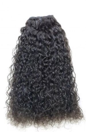 Raw Burmese Curl