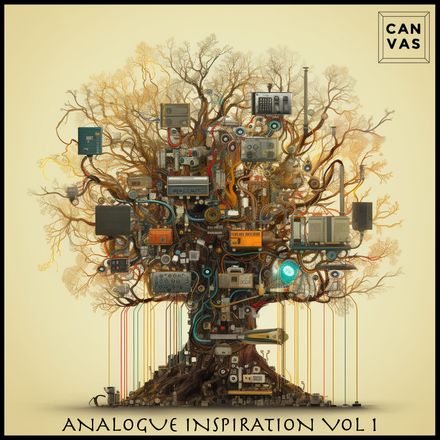 Analogue Inspiration Volume 1