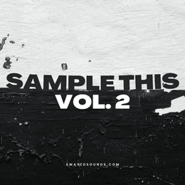 Sample This Vol. 2