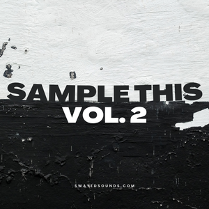Sample This Vol. 2