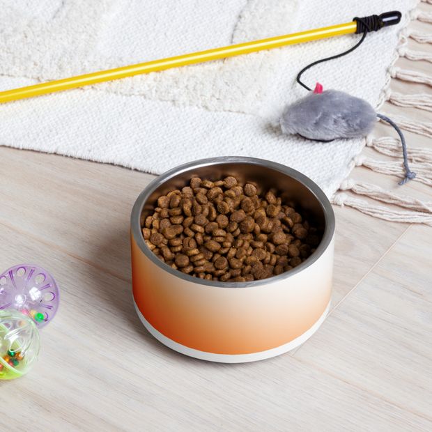 White and Orange Ombre Pet Bowl
