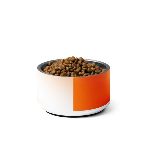 White and Orange Ombre Pet Bowl