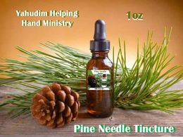 Pine Needle Tincture ( 1 oz )