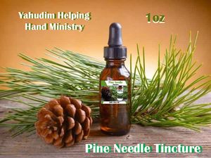 Pine Needle Tincture ( 1 oz )