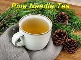 Pine Needle Tea 3.5 oz