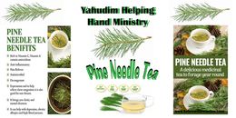 Pine Needle Tea Kit ( 32 oz )