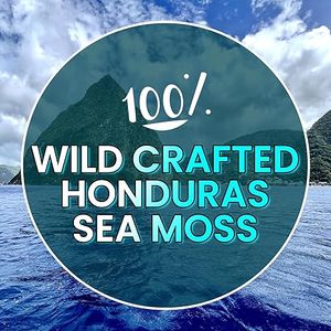 100% Honduras Sea Moss ( 4 oz 113 g)