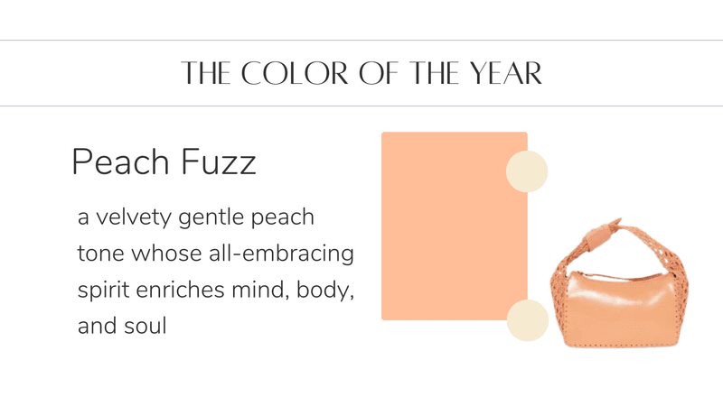 The Colors of Spring &amp; Summer 2024