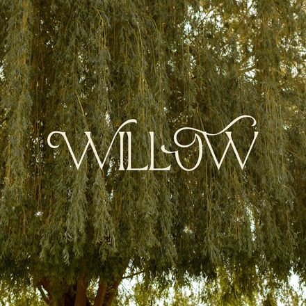 Willow Preset