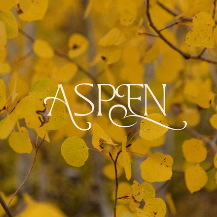 Aspen Preset