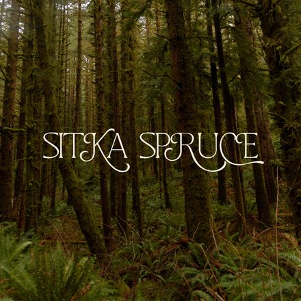 Sitka Spruce Preset