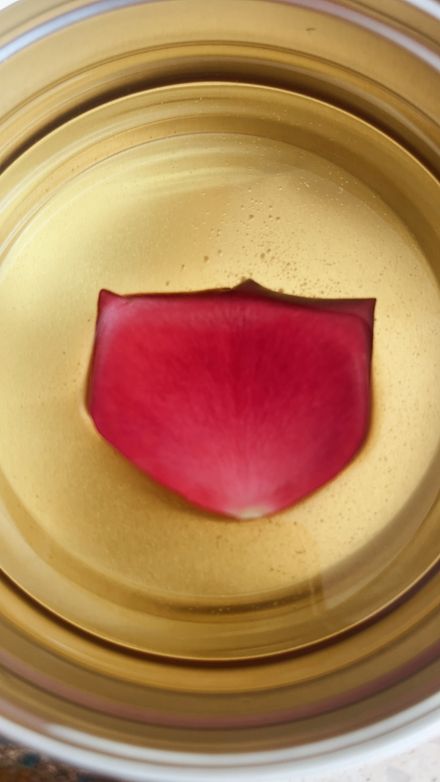 Osheana ~ Return To Love 