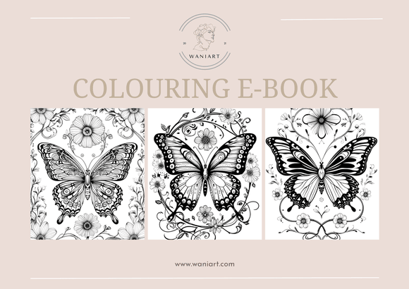 Butterfly Colouring E-Book