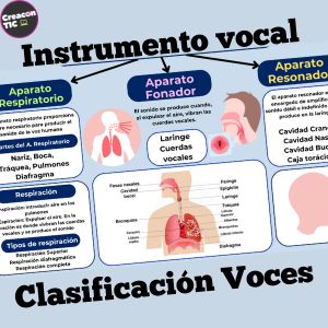 "Instrumento vocal y clasificación de las voces" Esquemas conceptuales