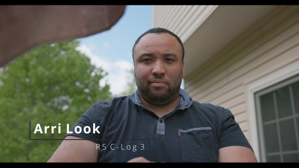 c log 3 canon r6
