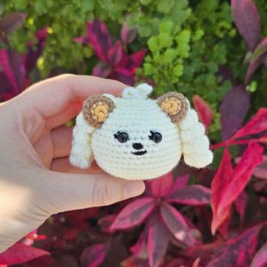 Bamgeut (Ppulbatu) Crochet Pattern