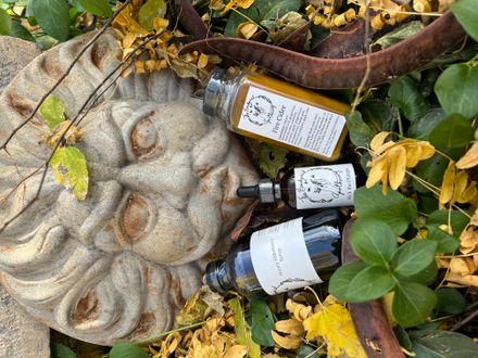 Don't Get Sick ESSENTIAL Kit