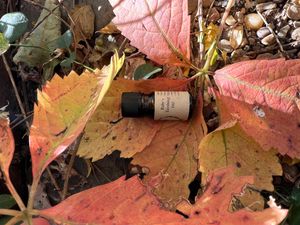 Baby&#x27;s Teething Oil