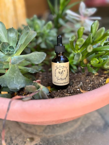 Inflammation Defender Tincture