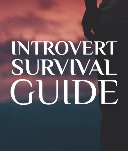 Introvert Survival Guide (Bundle)