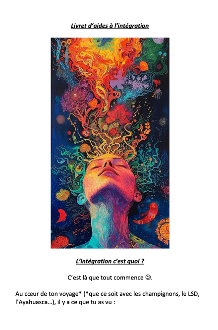 Journal d'intégration pour les explorateurs de la conscience 