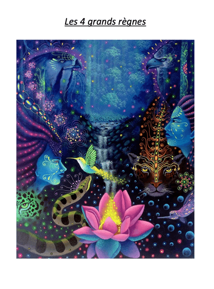 Les 4 grands règnes (minéral, végétal, animal, humain) au coeur du chamanisme 