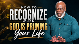 The Assignment- Cutting and Pruning 