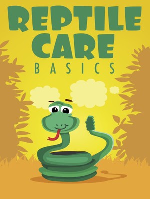 Reptile Care Basics