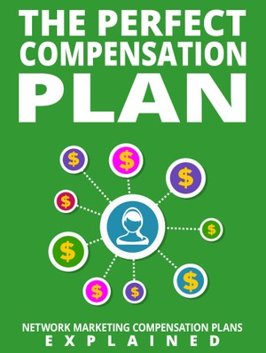 The Perfect Compensation Plan